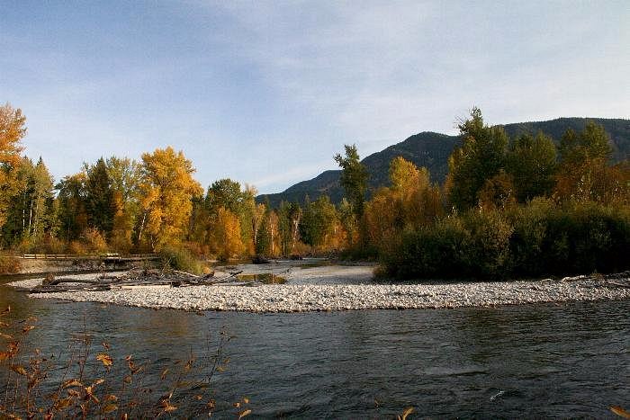 Adams River at Roderick Haig-Brown Provincial Park